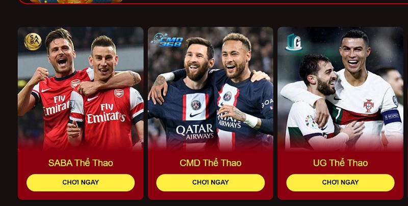 gioi-thieu-ve-the-thao-cmd368