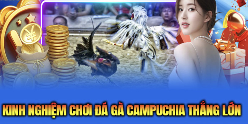 kinh-nghiem-choi-da-ga-camphuchia