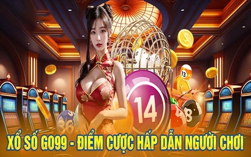 vai-thong-tin-co-ban-ve-xo-so-vip
